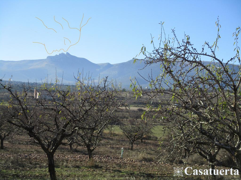 Casa Tuerta Villa Alcalá de Moncayo Buitenkant foto
