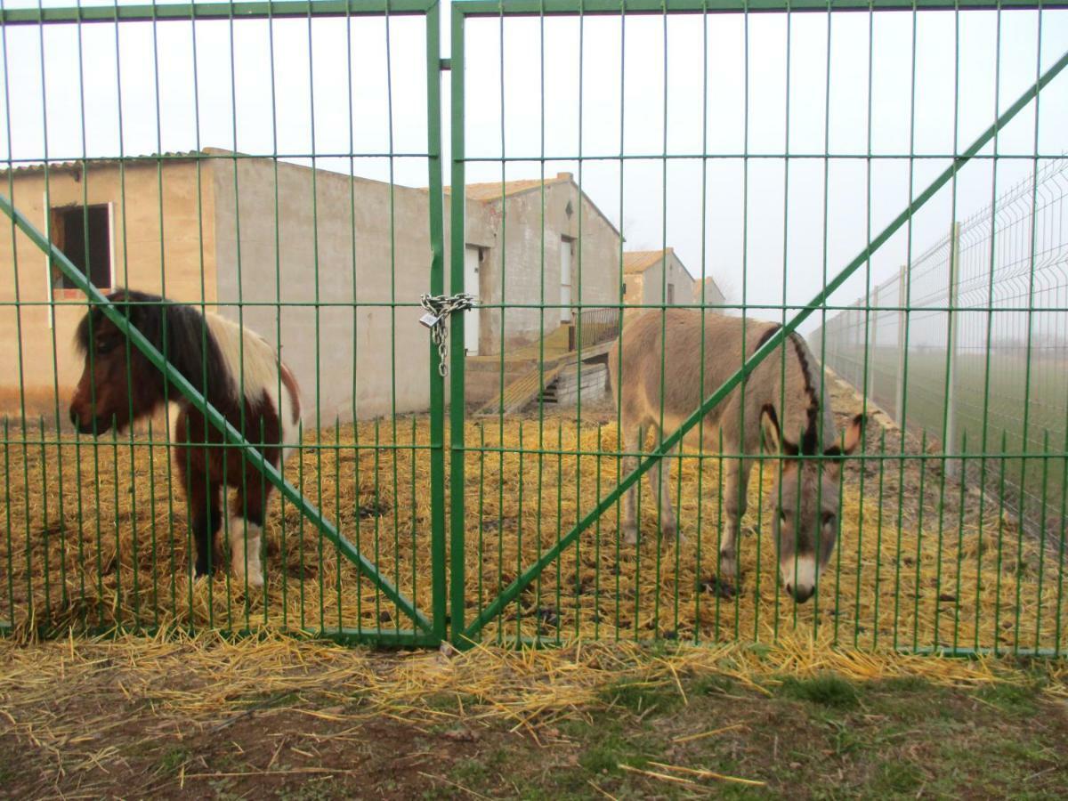Casa Tuerta Villa Alcalá de Moncayo Buitenkant foto